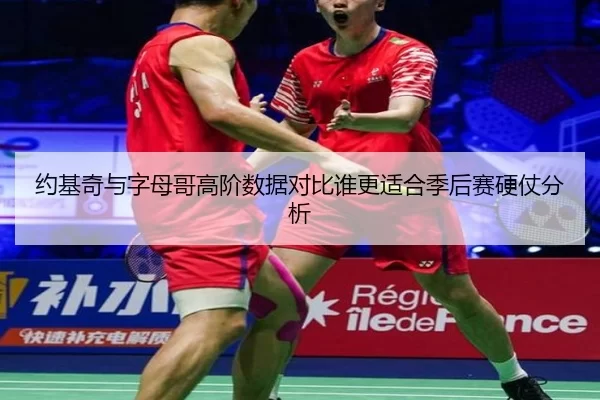 约基奇与字母哥高阶数据对比谁更适合季后赛硬仗分析（worldcup）